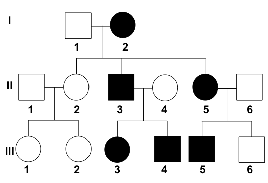 Pedigree example